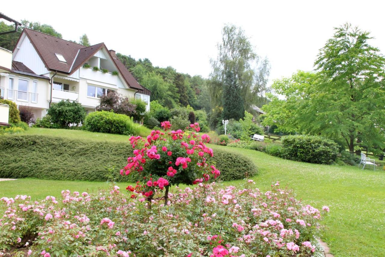 Apartament Haus Am Steinberg Bad Driburg Zewnętrze zdjęcie