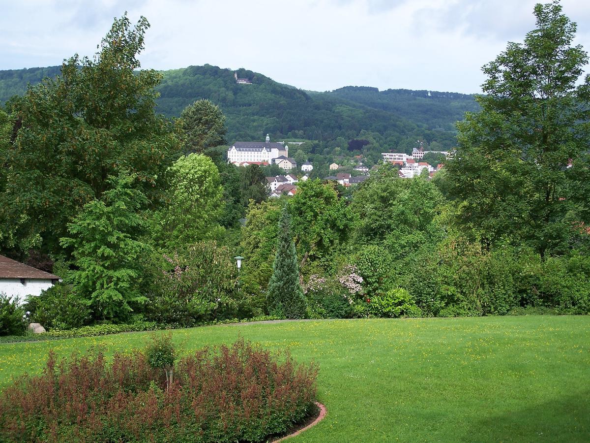 Apartament Haus Am Steinberg Bad Driburg Zewnętrze zdjęcie