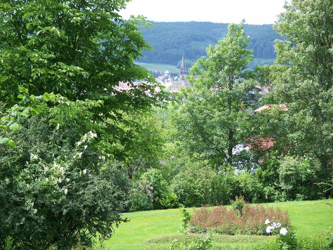 Apartament Haus Am Steinberg Bad Driburg Zewnętrze zdjęcie